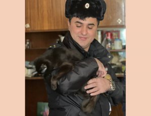 В Магнитогорске старший участковый уполномоченный полиции Отдела полиции «Орджоникидзевский» оказал содействие в спасении животных